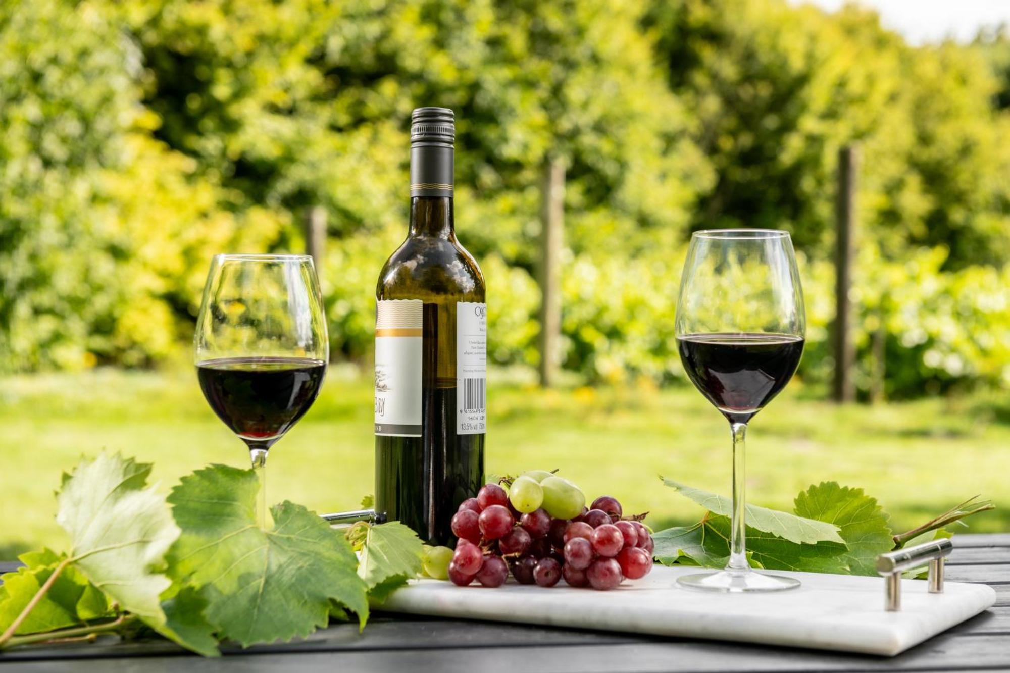 Вилла Downwood Vineyard Manor In Idyllic Countryside Бландфорд-Форум Экстерьер фото