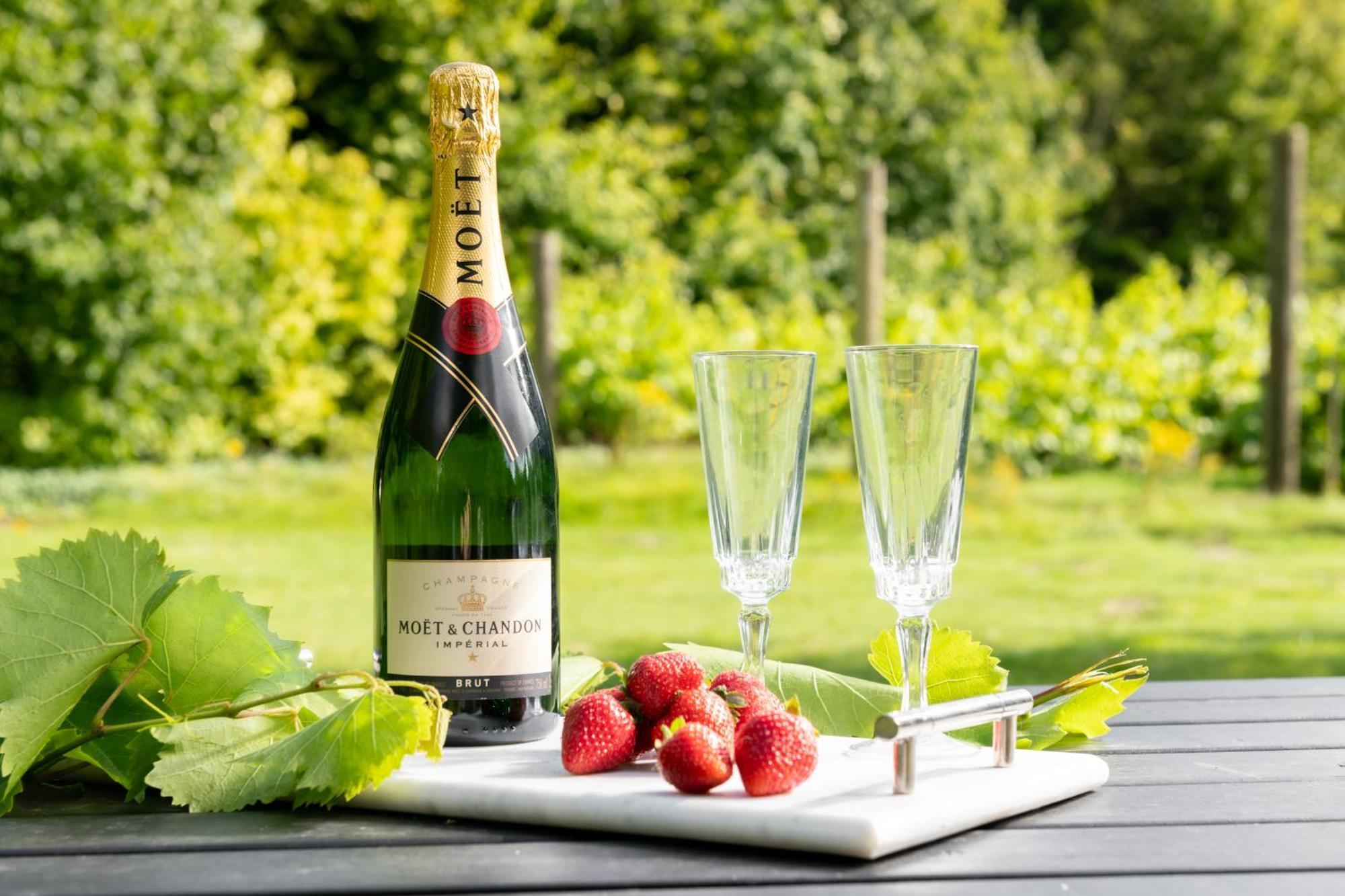 Вилла Downwood Vineyard Manor In Idyllic Countryside Бландфорд-Форум Экстерьер фото